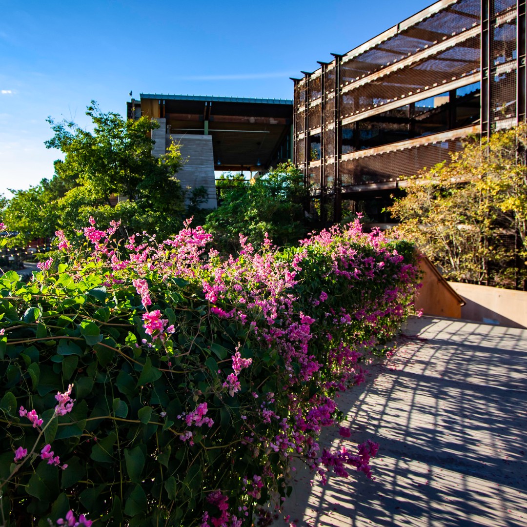 Springs Preserve: Discover the Heart of Las Vegas’ Natural and Cultural Heritage