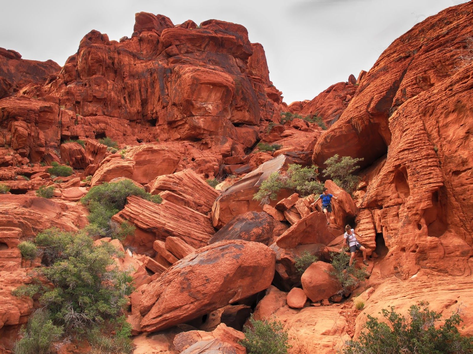 Exploring Red Rock Canyon: A Natural Oasis Near Las Vegas